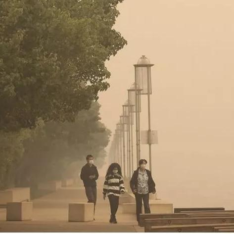 沙尘暴最新消息，环境警报与应对策略