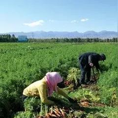 山东降雨最新消息，雨季的动态与影响