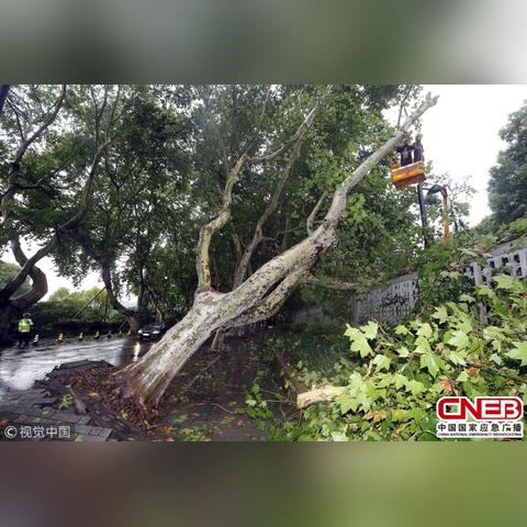 台风摩羯最新消息及影响分析