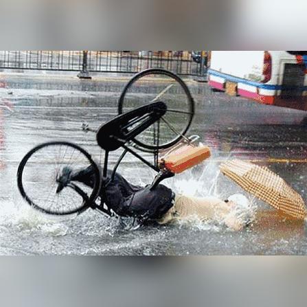 最新台风贝碧嘉，风雨中的挑战与应对