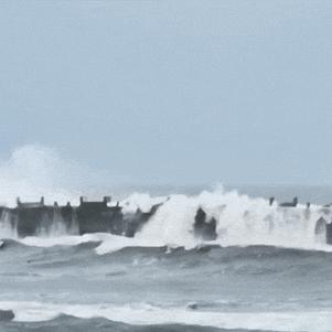 最新台风登陆，风雨中的挑战与应对