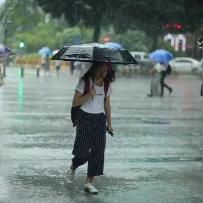 最新台风消息玛娃，风雨中的警报与应对