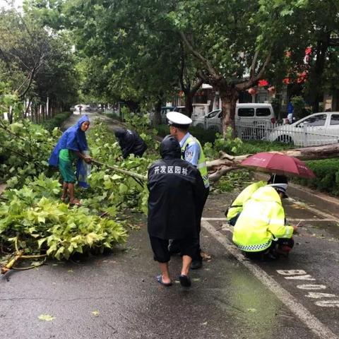 7月台风最新消息，风雨中的守护与应对