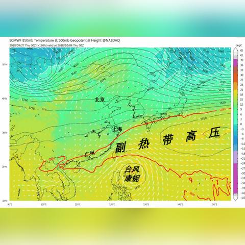 3号台风最新消息动态全面解析