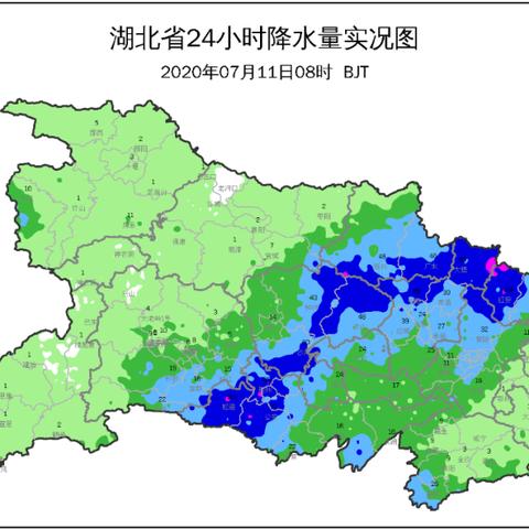 荆州大暴雨最新进展，风雨中的坚守与希望