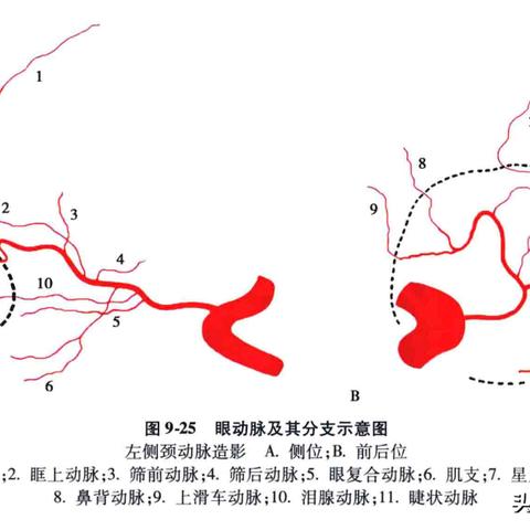 2025年1月 第1074页