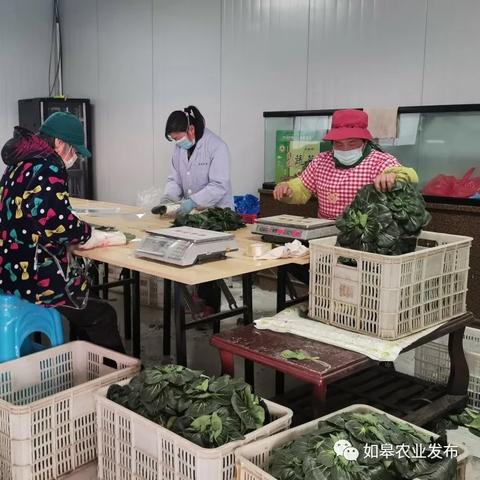 苏州如皋疫情最新消息|绝对经典解释落实